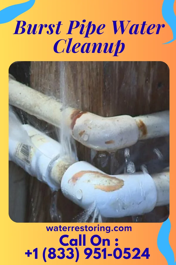 Burst Pipe Water Cleanup in Bedford, IN