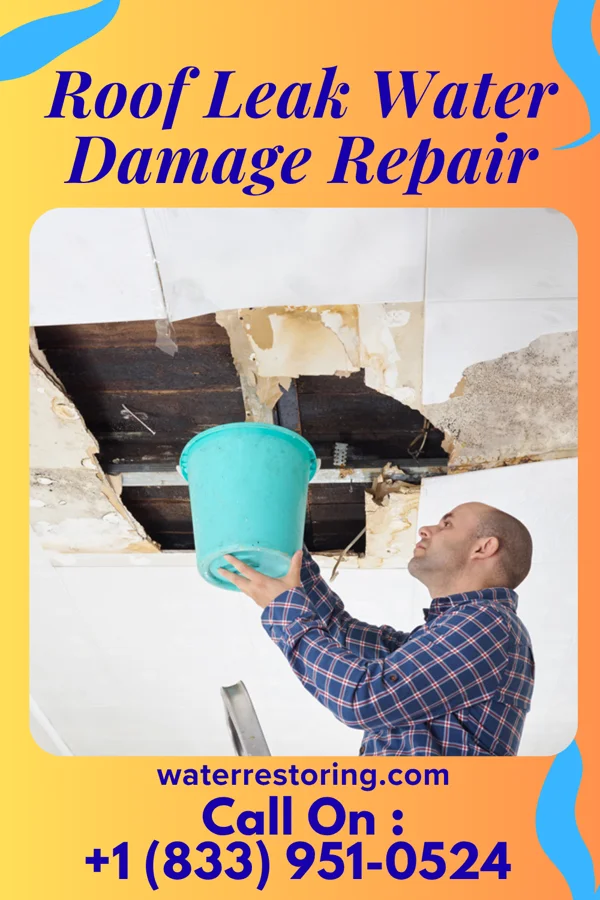 Roof Leak Water Damage Repair in Bedford, IN