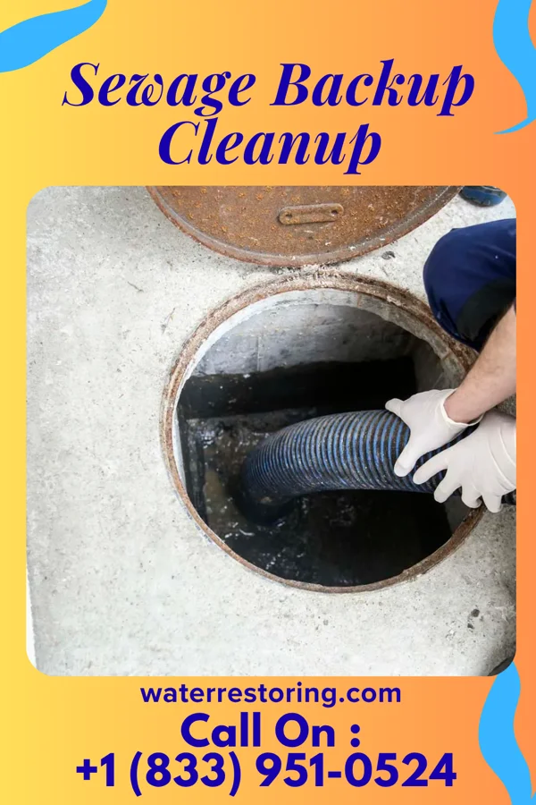 Sewage Backup Cleanup in Bedford, IN