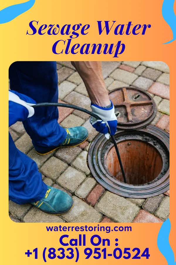 Sewage Water Cleanup in Bedford, IN